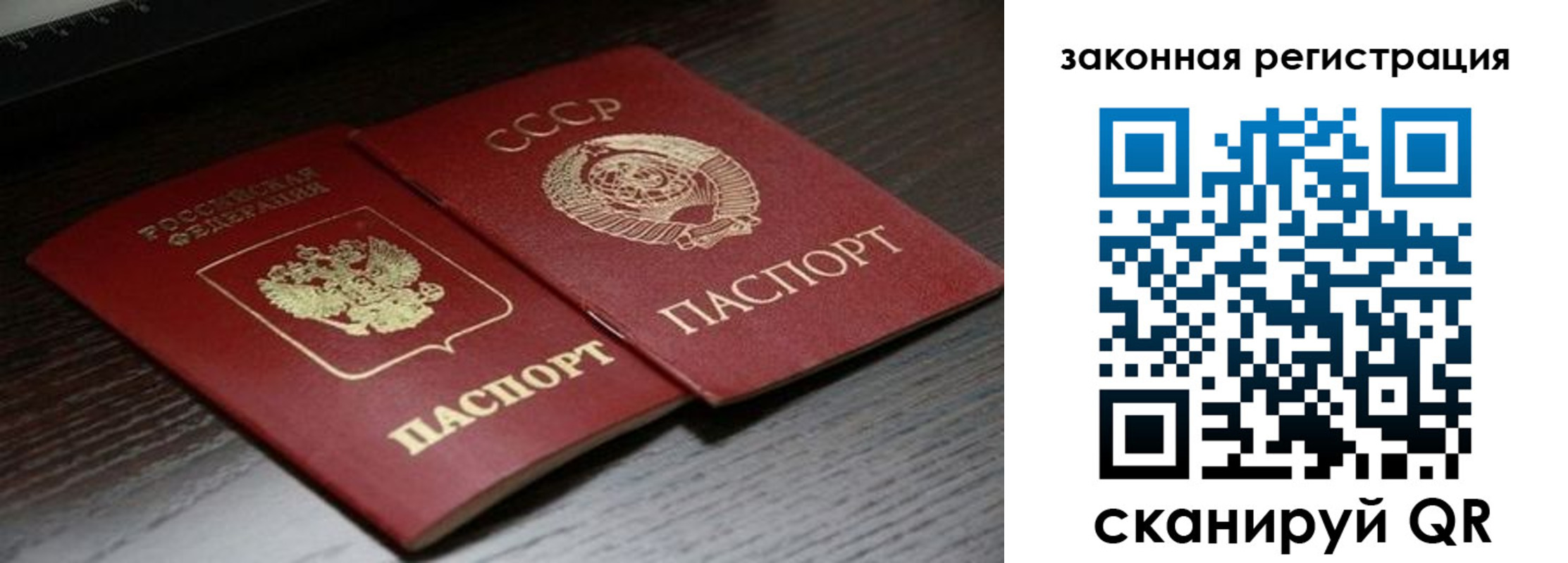 прописка поиск в Павлово